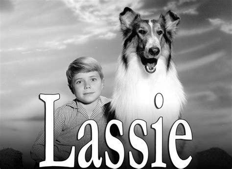 Lassie Tv Show Air Dates And Track Episodes Next Episode