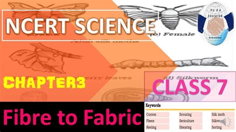 Ncert Class Science Chapter Fibre To Fabric For Upsc Ias Pre Mains