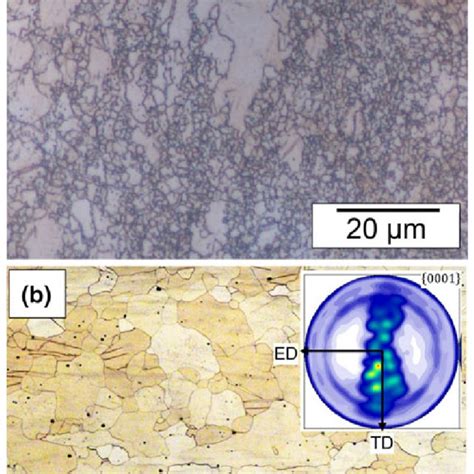 A Representative Optical Micrograph Of 2a Specimen Of Az31b Mg Alloy