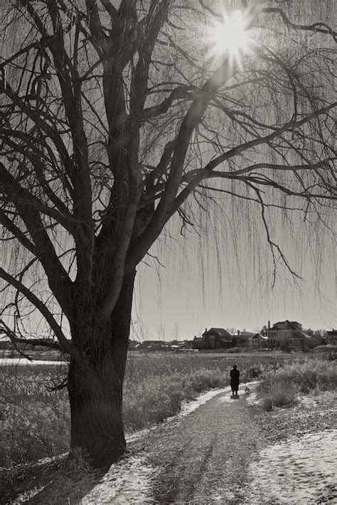 winter path    focus