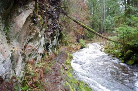 Larch Mountain Hike - Hiking in Portland, Oregon and Washington