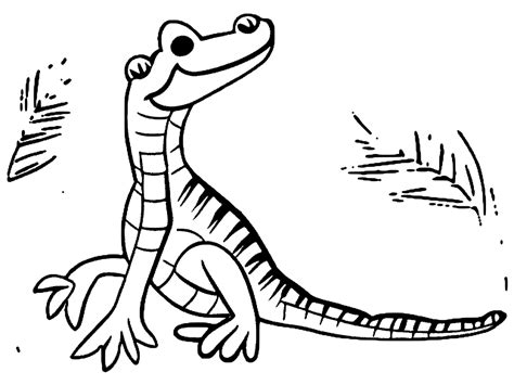 Coloring Page Alligator · Creative Fabrica