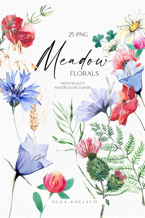 Watercolor Boho Flower Clipart Wild Flower Png Elements - Etsy