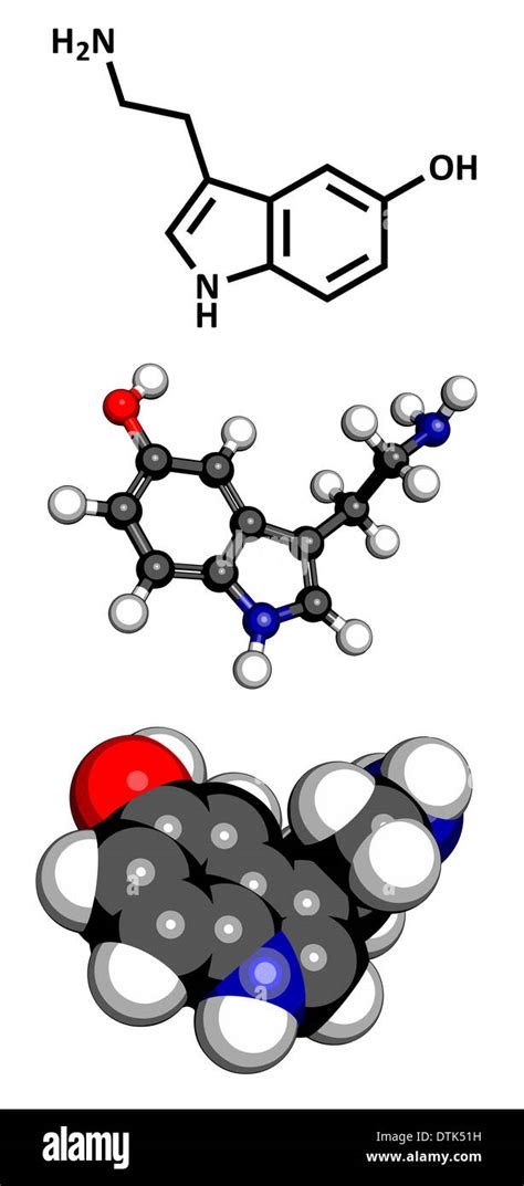 Serotonin Neurotransmitter Molecule Chemical Structure Serotonin Is