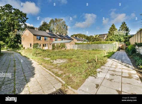 An Empty Yard In The Middle Of A Residential Area With Trees And Bushes