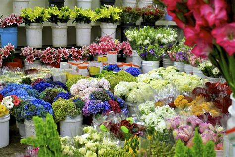 16 Flower Market