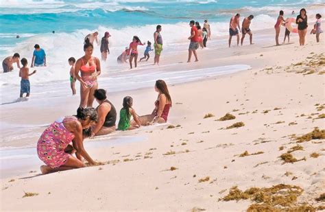 Playas de Cancún reportan recale de sargazo muy bajo