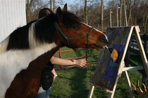 Painting Pony Paintings