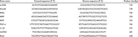 Primer Sequences Of The Genes For Qrt Pcr Analysis Download Table