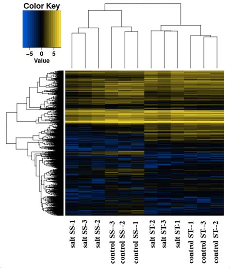 Hierarchical Clustering Of The Differentially Expressed Genes Download Scientific Diagram