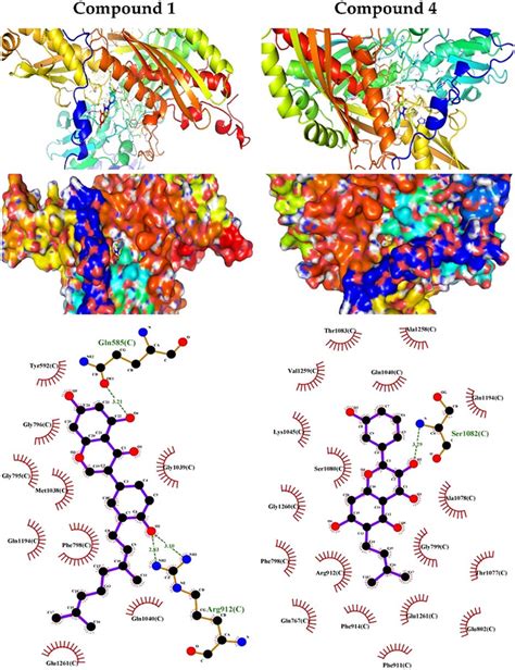 Molecular Docking Showing The Binding Modes Of Compounds And With