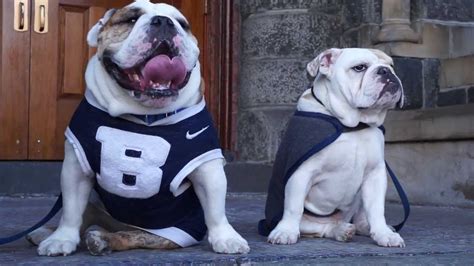 Jack Meets Blue Iii Mascots From Georgetown And Butler Youtube