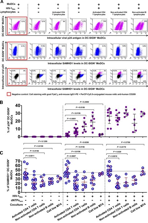 Dendritic Cell Lymphocyte Cross Talk Downregulates Host Restriction