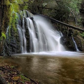 Lilydale Falls - North East Tasmania Tourism