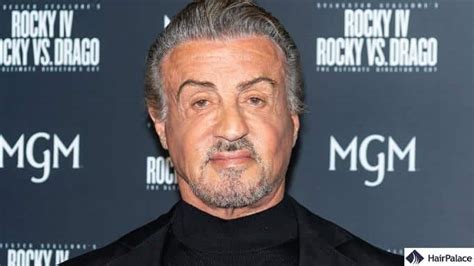 Does Sylvester Stallone Wear a Hair Piece - Hair Byte