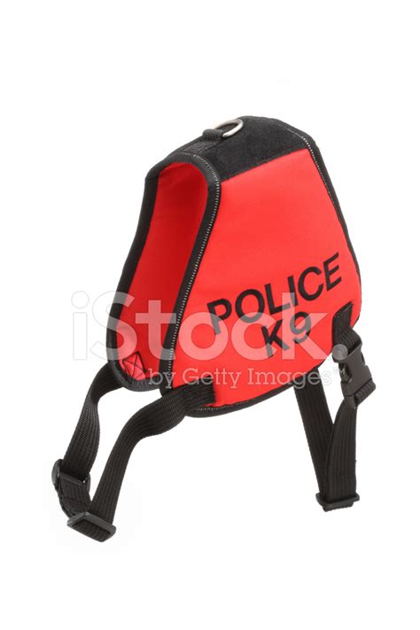 Police Dog Harness Stock Photo | Royalty-Free | FreeImages