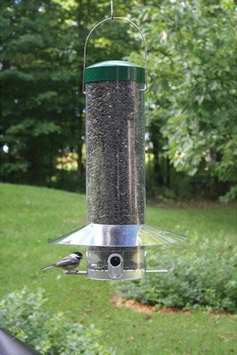 Birds Choice Classic Bird Feeder With Squirrel Baffle And Pole