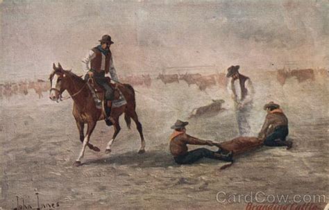 Cowboys Branding Cattle Cowboy Western Postcard