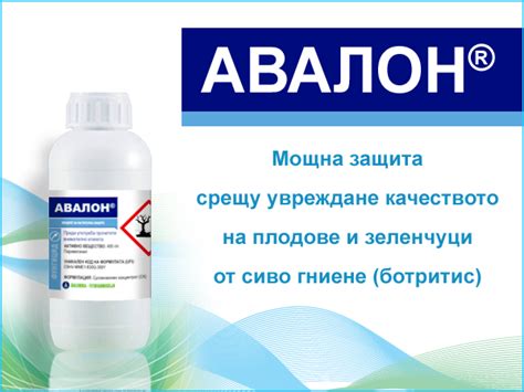 Авалон - 999 Ив. Асенов