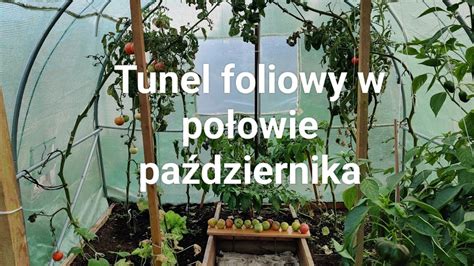 Tunel Foliowy W Po Owie Pa Dziernika Youtube