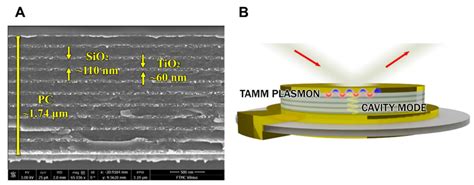 Sem Micrograph Of The Plasmonic Photonic Structure Modified Qcm D