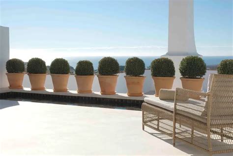 Andaluc An Grandeur At The Finca Cortesin Hotel Golf And Spa Spain