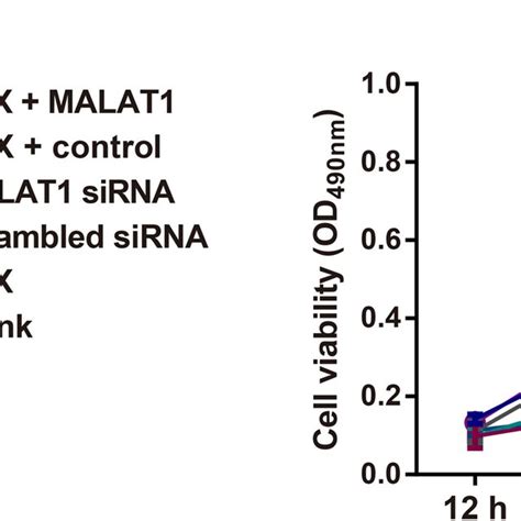 Dex Reduces The Viability Of Eca And Te Cells Via Downregulating