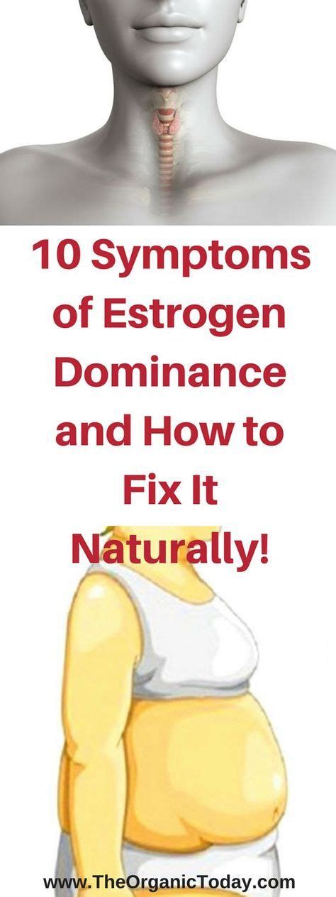 10 Symptoms Of Estrogen Dominance And How To Fix It Naturally Estrogen Dominance Oestrogen