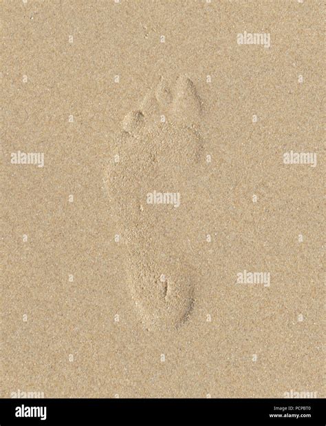 Human Footprint Hi Res Stock Photography And Images Alamy