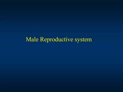 Lec 22 13 Structure And Functions Of Male And Female Reproductive