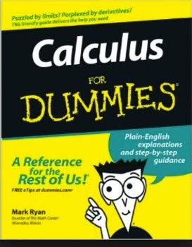 Calculus Book for Dummies Project by Calculated Steps | TpT