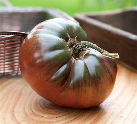 Carbon Black Heirloom Tomato Premium Seed Packet Etsy