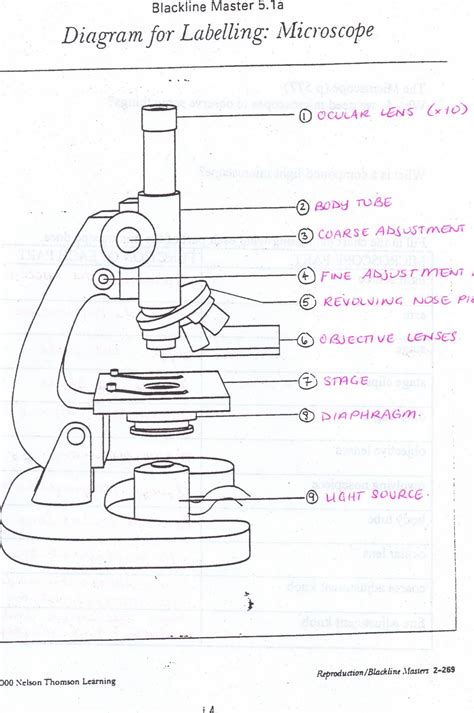 Free Microscope Drawing Download Free Microscope Drawing Png Images