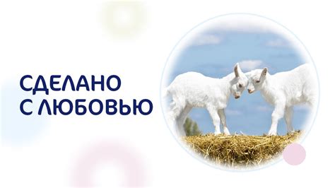 Kabrita® - адаптированная смесь для новорожденных малышей. С любовью от ...