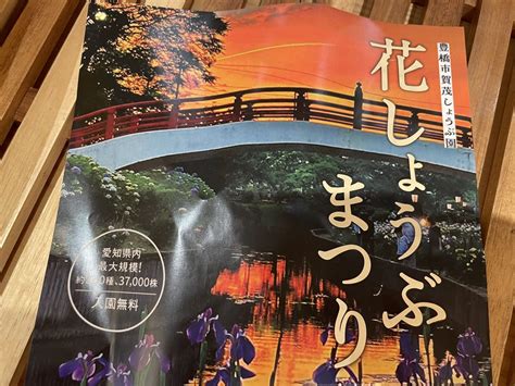 【豊橋市】「花しょうぶまつり」が5月24日水から始まります。 号外net 豊橋市・田原市