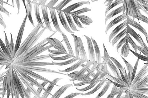 Premium Vector Black White Exotic Pattern Monstera Leaves And Hibiscus Flowers In Summer