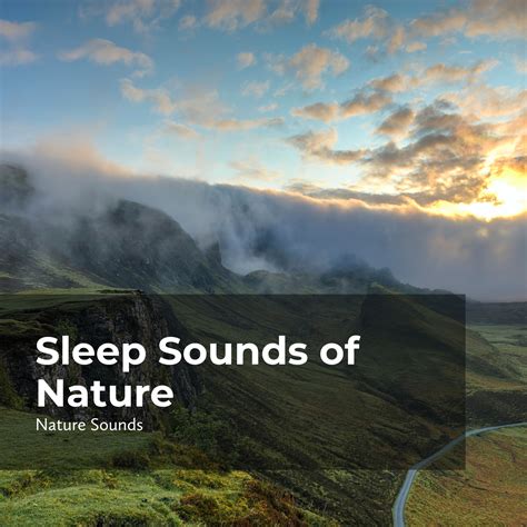 Wonderful Ocean Sleep Sounds Of Naturenature Sounds Nature Music