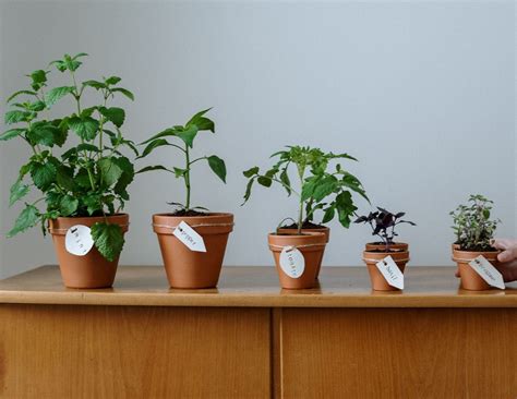 Business Why You Shouldn’t Wait To Grow | Maverrik