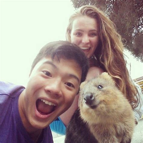 Selfies With Quokkas Is The New Hotness In Australia - Strange Beaver