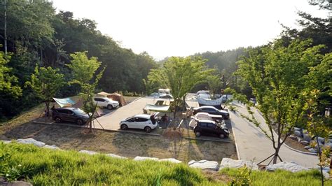 울산 오토캠핑장 입화산 제2오토캠핑장a 아이들 뛰어놀기 정말 좋은 곳 네이버 블로그