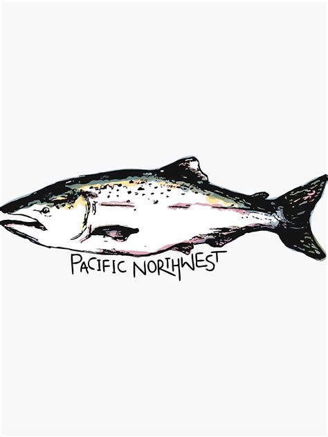 Chinook Salmon Pnw Sticker For Sale By Canajoy Redbubble