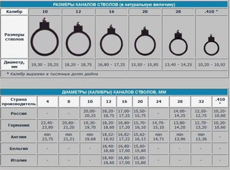 Калибры гладкоствольного охотничьего оружия | ohota.guru | Дзен