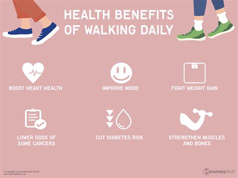 Walking Benefits For Mental Physical Health AnatomyStuff