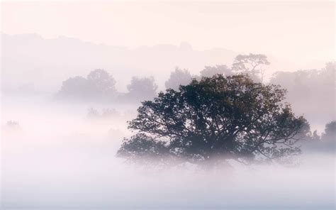 Morning Fog, Early Morning Fog And Mist Image, #20505