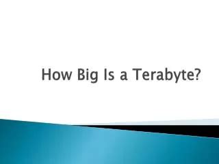 terabyte   trusted seo agency  dubai powerpoint