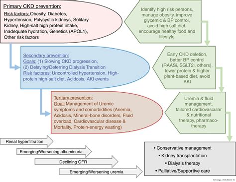 Kidney Health For Everyone Everywhere From Prevention To Detection