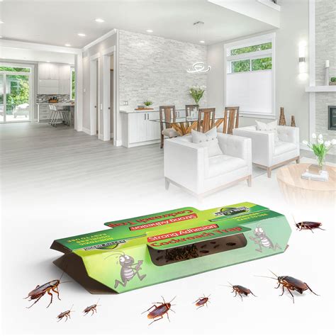 Mua 20 Pack Roach Traps Indoor Roach Killer Indoor Infestation