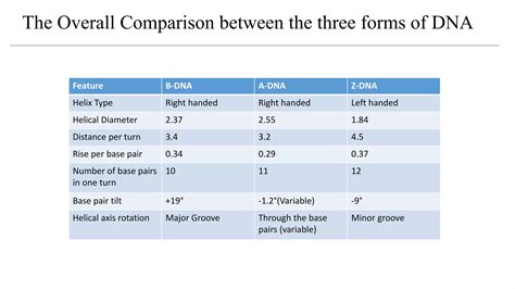 Different Forms Of Dna Ppt