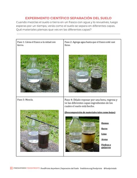 Experimento Cient Fico Separaci N Del Suelo Experimento Cient Fico