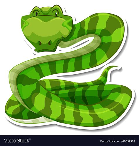 Snake Cartoon Character On White Background Vector Image